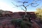 Silhouette dead tree at King Canyon, Outhback Australian