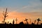 Silhouette of decayed graveyard with tilted crosses and tombstones in sunset light