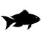 Silhouette of a decorative aquarium bass. Emblem logo or tattoo for clothes, black outline on a white background