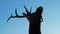 Silhouette of a deer against the blue sky on a cold winter snowy day