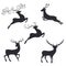 Silhouette deer on white background