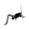 silhouette design of long leg grasshopper insects