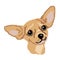 Silhouette of a dog breed beige chihuahua muzzle, head drawn by squares, pixels. The image of the muzzle breed beige chihuahua