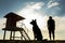 silhouette of dog and cat lifeguards protecting beachgoers from unseen dangers