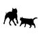 Silhouette of dog and cat. Pitbull and cat running.