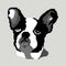 The silhouette of a dog of the French Bulldog breed is a face whose head is painted in the form of squares, pixels