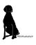Silhouette of a dog with the inscription Weimaraner.