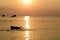 Silhouette dog playing on sunset beach kho tao island thailand