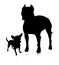 Silhouette of dogs.