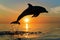 silhouette of a dolphin jump at sunset near the shore