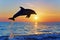 silhouette of a dolphin jump at sunset near the shore