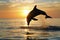 silhouette of dolphin leaping at sunrise