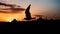 Silhouette of a dove or pigeon flying in front of the old town in istanbul Turkey