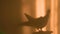 Silhouette of a Dove on a Pink Wall Near the Window in the Evening