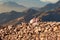 Silhouette dromedar camel on the background of the mountain of St. Moses, Egypt, Sinai