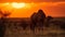 Silhouette of dromedary camel grazing in wilderness generated by AI