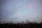 Silhouette of dry steppe grass in the control light against the evening dramatic sky background.