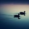 silhouette of Ducks gliding across a tranquil pond