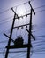 Silhouette of am electrical or utility pole transformer with sun flare