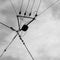 Silhouette of electrician aerial conductor