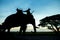 Silhouette elephant with mahout