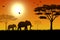 Silhouette of elephant in the savanna