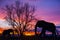 Silhouette elephant and tree on beautiful sunset