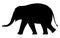 Silhouette elephant on white background