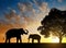 Silhouette elephants