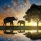 Silhouette elephants