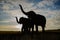 The silhouette of elephants