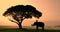 Silhouette of elephants and mahouts in the morning a midst natural scenery.