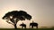 Silhouette of Elephants and mahouts in the morning a midst natural scenery.