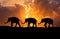 Silhouette elephants relationship with trunk hold family tail walking together on sunset