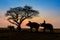 Silhouette elephants standing under the tree