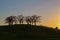 Silhouette of Elm Grove at Woodland Cemetery in Stockholm, Sweden during sunset