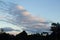 Silhouette of eucalyptus and pines with panoramic view of cloudscape at sunset