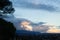 Silhouette of eucalyptus and pines with panoramic view of cloudscape at sunset