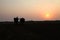 Silhouette of a farmer plows his field with a pair of Buffalo in preparation planting in India