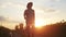 silhouette farmer. a sun male farmer walk along a road among a field of sunflowers. farm agriculture business concept