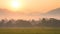 Silhouette farmer walk in green field on morning time