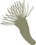 Silhouette of feather duster worm