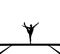 Silhouette of female gymnast on balance beam