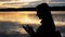 Silhouette of female tourist on the lake during sunset in the evening, use smartphone, surfing internet