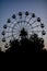 Silhouette of a ferris wheel at sunrise sunset of the sun on a background of trees and grass