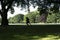 Silhouette figures of passers-by in shade of large trees in Hagley Park Christchurch