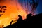 Silhouette of firemen on the roof of a burning house