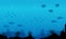 Silhouette of fish various underwater landscape