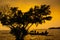 Silhouette of Fishermen on a Boat at Sunset Scene With Beautiful Tree Foreground. Fishery Lifestyle in Golden Hour at Gulf of