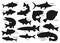 Silhouette of fishes, sea and river fishing icons